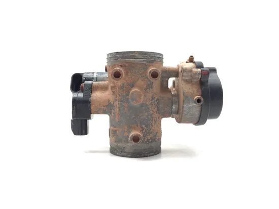 Throttle Body 2011 Arctic Cat 450 4x4 H1 EFI 3338