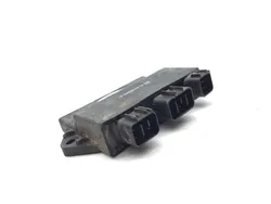 Ignition CDI Box ECU 2006 Yamaha Rhino 660 YXR660FA 4x4 3356