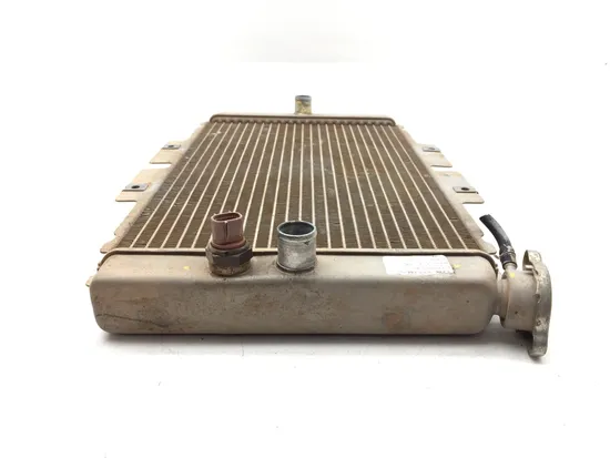 Engine Radiator Cooling 2006 Yamaha Rhino 660 YXR660FA 4x4 3356 3