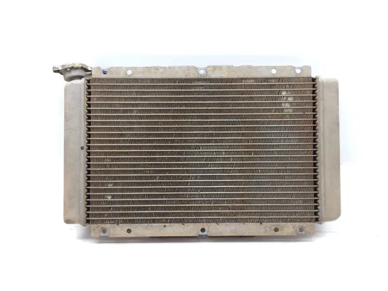 Engine Radiator Cooling 2006 Yamaha Rhino 660 YXR660FA 4x4 3356 6