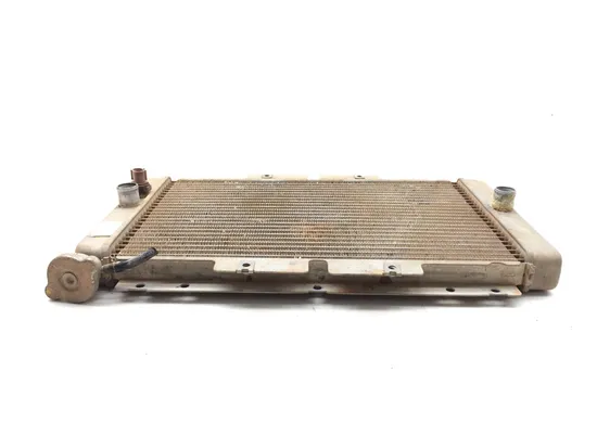 Engine Radiator Cooling 2006 Yamaha Rhino 660 YXR660FA 4x4 3356 4