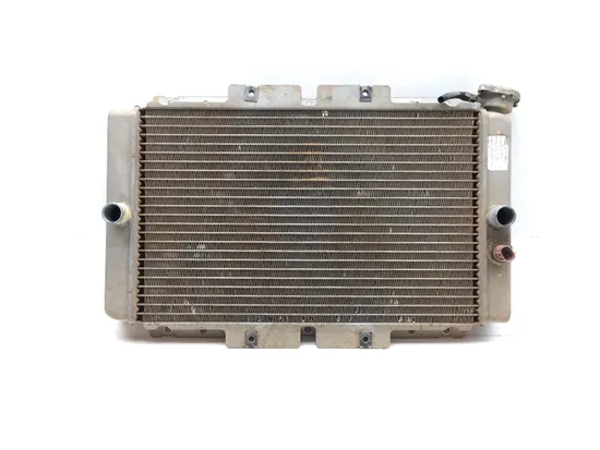 Engine Radiator Cooling 2006 Yamaha Rhino 660 YXR660FA 4x4 3356 1