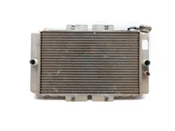 Engine Radiator Cooling 2006 Yamaha Rhino 660 YXR660FA 4x4 3356