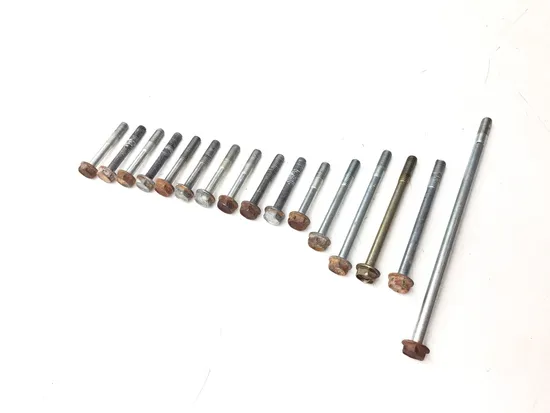 Engine Center Cases Case Bolts 2006 Honda Foreman 500 TRX500FM 4x4 S 3357