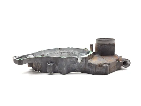 Rear Crankcase Cover 2006 Honda Foreman 500 TRX500FM 4x4 S 3357