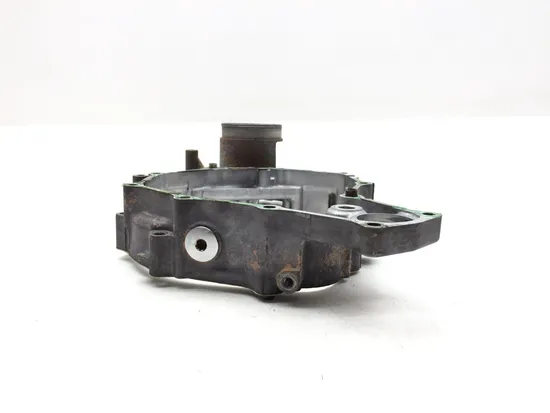 Rear Crankcase Cover 2006 Honda Foreman 500 TRX500FM 4x4 S 3357