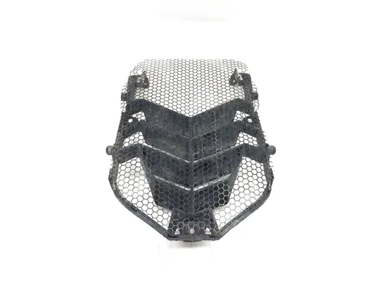 Engine Radiator Grill Guard 2008 Can-Am DS450 EFI 3358 x