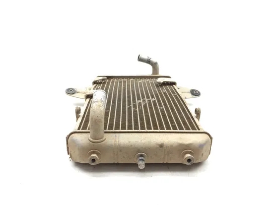 Engine Radiator Cooling 2008 Can-Am DS450 EFI 3358 x