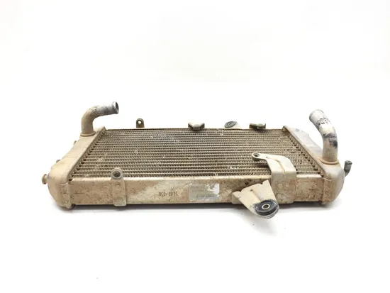 Engine Radiator Cooling 2008 Can-Am DS450 EFI 3358 x