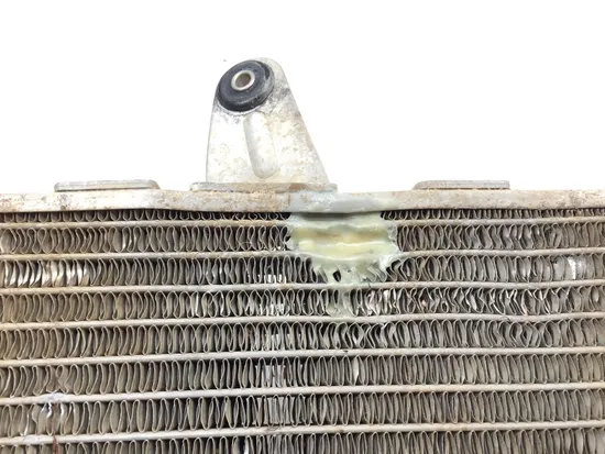 Engine Radiator Cooling 2008 Can-Am DS450 EFI 3358 x