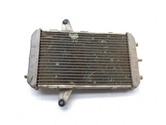 Engine Radiator Cooling 2008 Can-Am DS450 EFI 3358 x