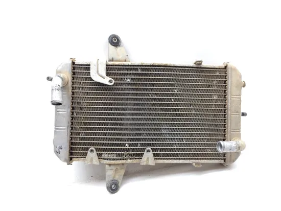 Engine Radiator Cooling 2008 Can-Am DS450 EFI 3358 x
