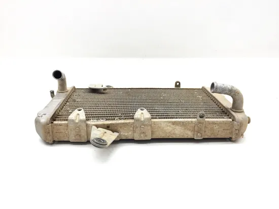 Engine Radiator Cooling 2008 Can-Am DS450 EFI 3358 x