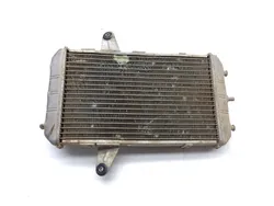 Engine Radiator Cooling 2008 Can-Am DS450 EFI 3358 x