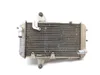 Engine Radiator Cooling 2008 Can-Am DS450 EFI 3358 x