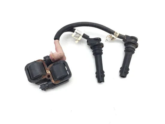 Ignition Coil 2016 Polaris RZR XP 1000 EPS 3349
