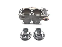 Engine Cylinder Jug W Piston 2021 Polaris RZR XP 1000 EPS 3349