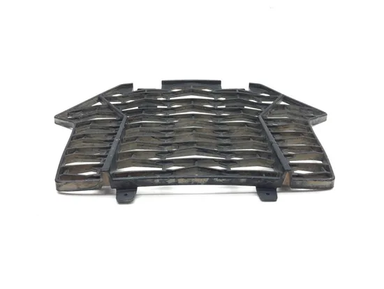 Engine Radiator Grill Guard 2020 Polaris RZR Pro XP Cruiser 3365