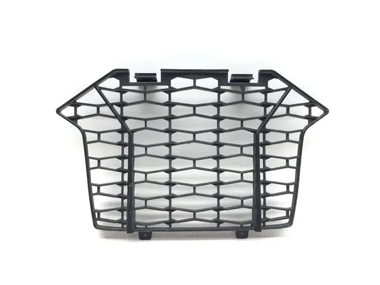 Engine Radiator Grill Guard 2020 Polaris RZR Pro XP Cruiser 3365