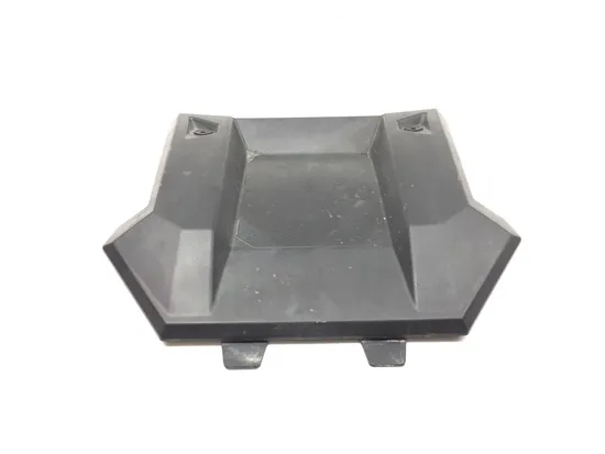 Hood 2020 Polaris RZR Pro XP Cruiser 3365