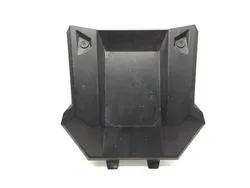 Hood 2020 Polaris RZR Pro XP Cruiser 3365