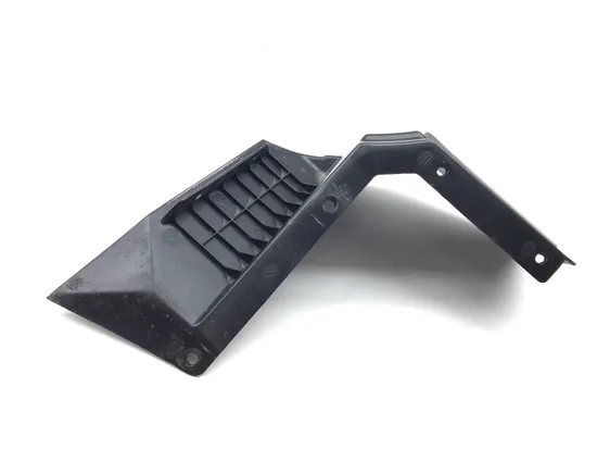 Foot Rest 2020 Polaris RZR Pro XP Cruiser 3365