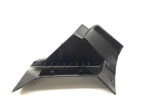 Foot Rest 2020 Polaris RZR Pro XP Cruiser 3365