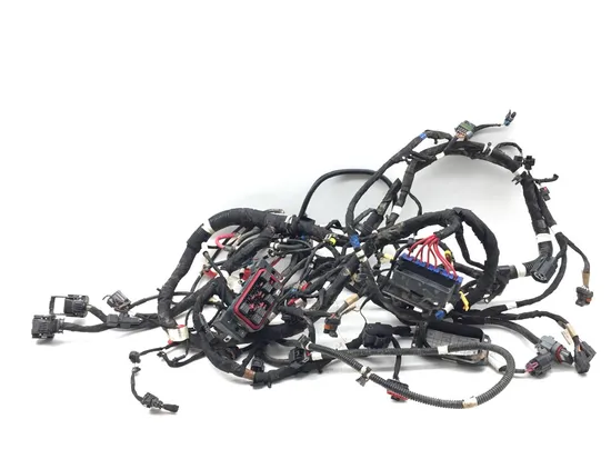 Main Engine Wiring Harness 2020 Polaris RZR Pro XP Cruiser 3365