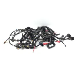 Main Engine Wiring Harness 2020 Polaris RZR Pro XP Cruiser 3365