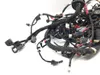 Main Engine Wiring Harness 2020 Polaris RZR Pro XP Cruiser 3365