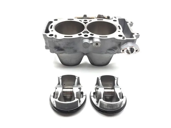 Engine Cylinder Jug W Piston 2020 Polaris RZR Pro XP Cruiser 3365