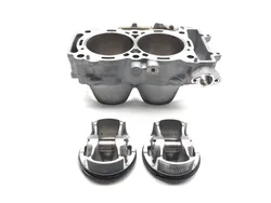Engine Cylinder Jug W Piston 2020 Polaris RZR Pro XP Cruiser 3365