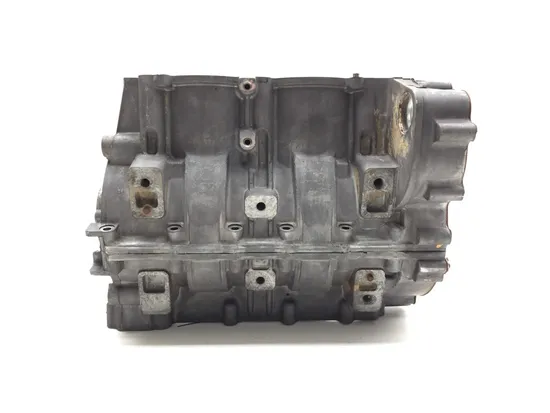 Engine Left Right Center Cases Case 2020 Polaris RZR Pro XP Cruiser 3365