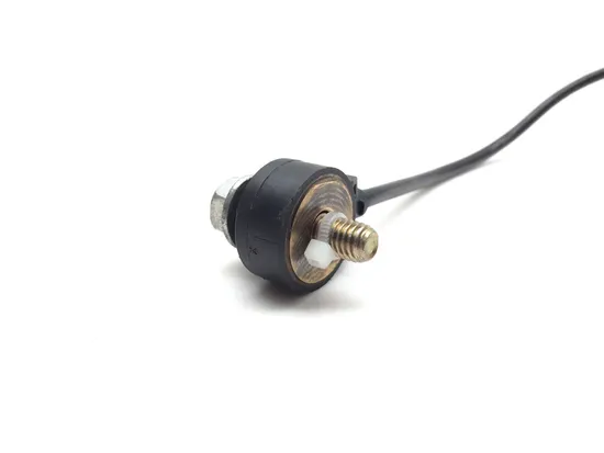 Knock Sensor 2020 Polaris RZR Pro XP Cruiser 3365