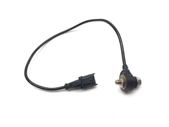 Knock Sensor 2020 Polaris RZR Pro XP Cruiser 3365