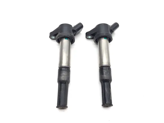 Ignition Coil Set 2020 Polaris RZR Pro XP Cruiser 3365