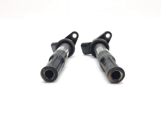 Ignition Coil Set 2020 Polaris RZR Pro XP Cruiser 3365