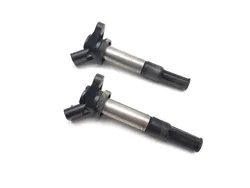 Ignition Coil Set 2020 Polaris RZR Pro XP Cruiser 3365