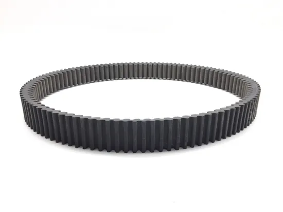 Drive Belt 2020 Polaris RZR Pro XP Cruiser 3365