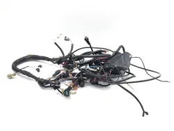 Main Engine Wiring Harness 2010 Kawasaki KFX450R 3366