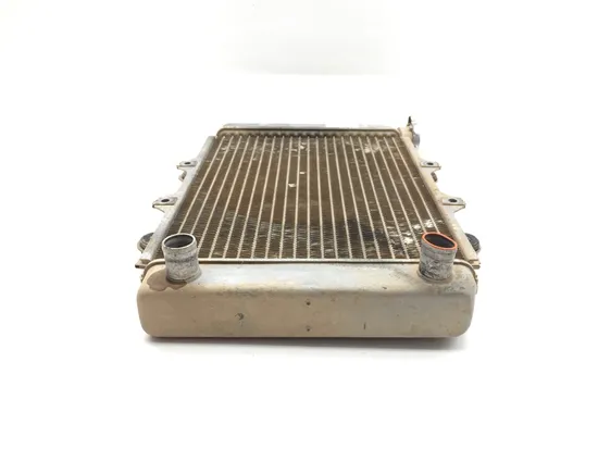 Engine Radiator Cooling 2010 Kawasaki KFX450R 3366 x