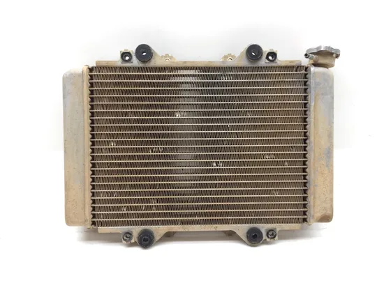 Engine Radiator Cooling 2010 Kawasaki KFX450R 3366 x
