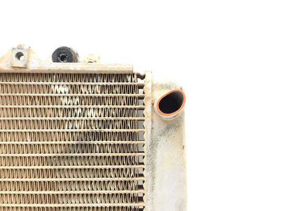 Engine Radiator Cooling 2010 Kawasaki KFX450R 3366 x