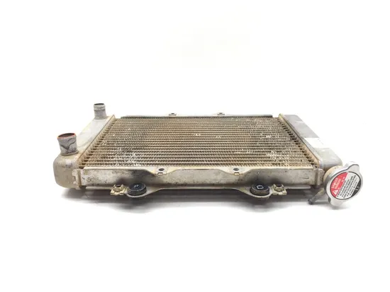 Engine Radiator Cooling 2010 Kawasaki KFX450R 3366 x