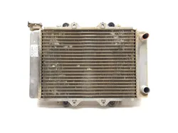 Engine Radiator Cooling 2010 Kawasaki KFX450R 3366 x