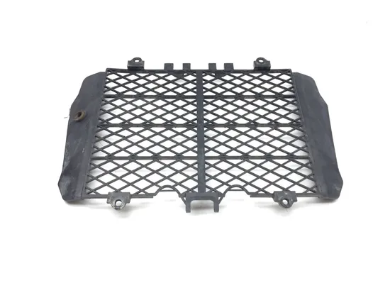 Engine Radiator Grill Guard 2010 Kawasaki KFX450R 3366 4