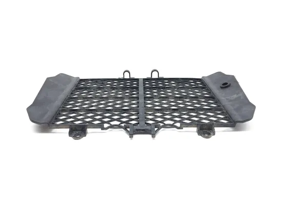 Engine Radiator Grill Guard 2010 Kawasaki KFX450R 3366