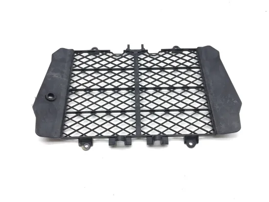 Engine Radiator Grill Guard 2010 Kawasaki KFX450R 3366