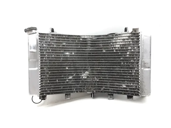 Engine Radiator Cooling 2007 Suzuki Hayabusa GSX1300R 3359 x