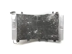 Engine Radiator Cooling 2007 Suzuki Hayabusa GSX1300R 3359 x